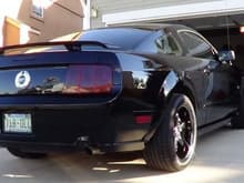 Mustang007