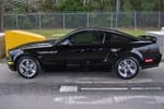 2005 Mustang GT (Born 21 September 2004)