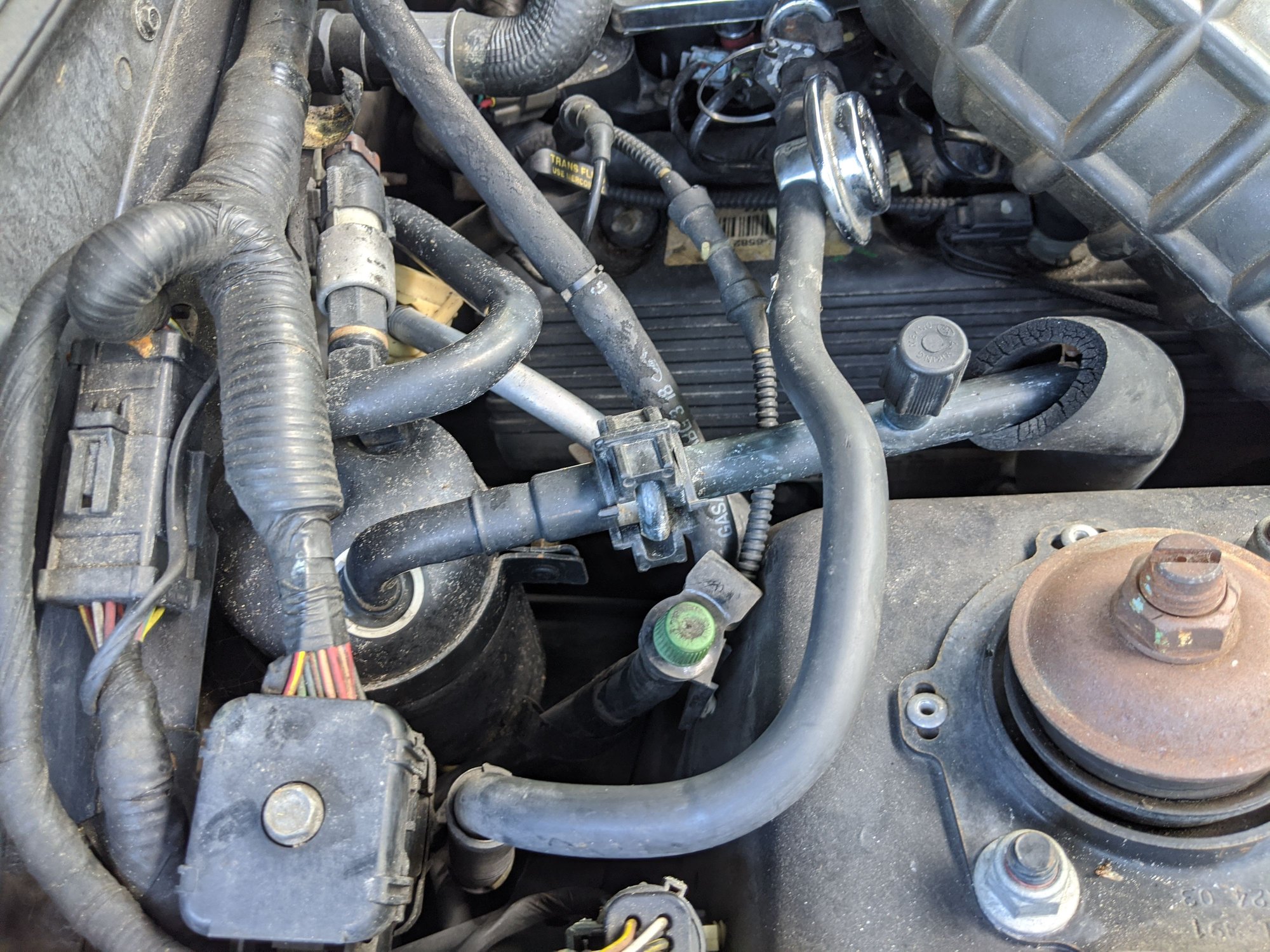 Locate fuel line Schrader valve 2003 GT