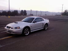 cell phone pic of mustang
