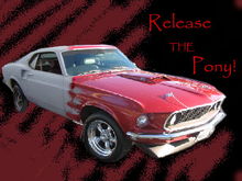 Mustang Progression - just a little photoshop thing i did...

1969 Boss 429... old to pretty =]