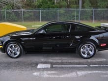 2005 Mustang GT (Born 21 September 2004)