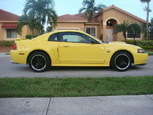 01 Mustang GT