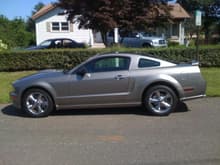 The new Stang at 3 weeks old.