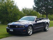 Mustang 20090831 (13)
