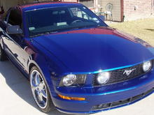 My third mustang for about 6 months; didnt have it long enough to enjoy!! :(
