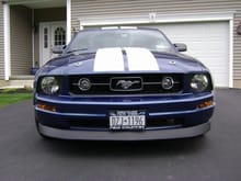 Mustang 2010 003