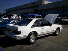 holman show sept 2008 002