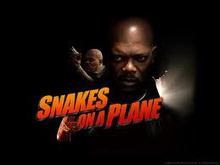 snakes on a plane