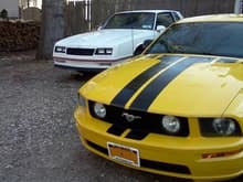 Mustang and the Monte