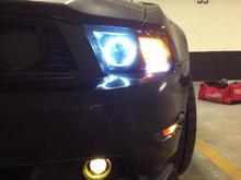 Raxiom Headlights with H11 6000k HID conversion, Eurolite H11 yellow halogen fog lights.