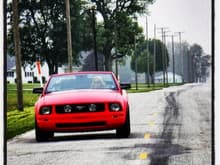 Mustang cruisin