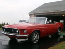 Just bought a 1969 conv.