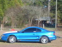 My Old Mustang