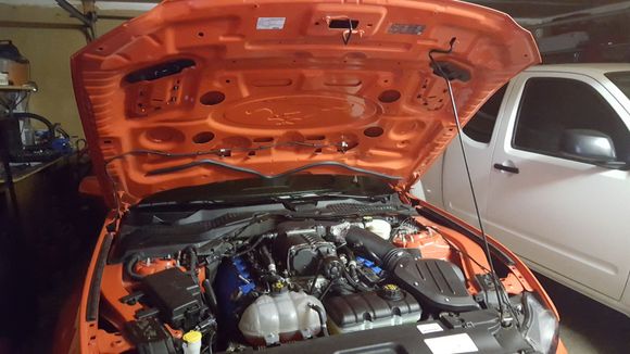 When all completed i also removed the hood sound blanket as i like to hear the whine from the supercharger in the car. I have a new hood on the way that will not itilize it anyhow