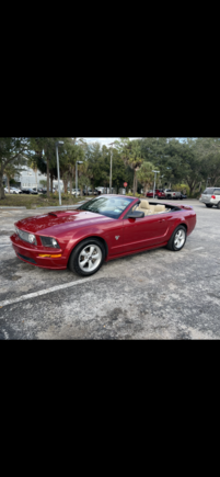 This is Ruby Rumbles. Pretty stock, maybe completely stock. I am the 3rd owner. The first was in Arizona, the 2nd was in Texas. Now she's in Florida. She came into my life because it was too unsafe for riding my Harley here, so I sold it and bought Ruby. A wise move, I think. 