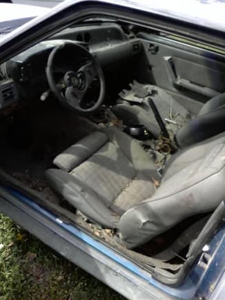 This is the condition the car was in when I got it. Needs a little lovin. Looked alot better after I swapped the dash and console. I also have a set of 2007 seats on the way!!!