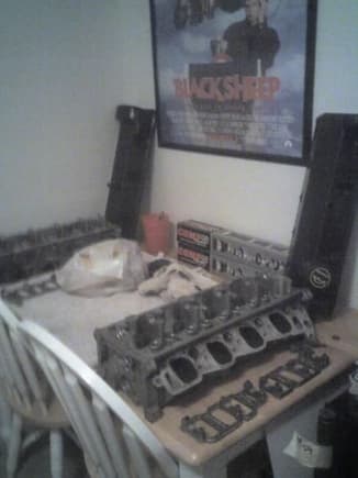 01 Mustang Romeo Cams, Complete Heads, Cam Covers, and Timing Cover Hardware. Used 55k Miles. Total - $180