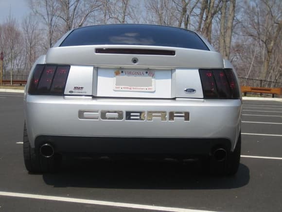 03 Cobra 006