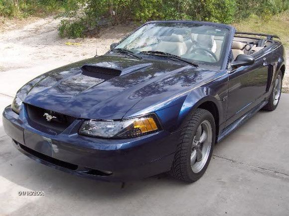 Dig the baby seat.  Mustangs &amp; kids go together just fine.