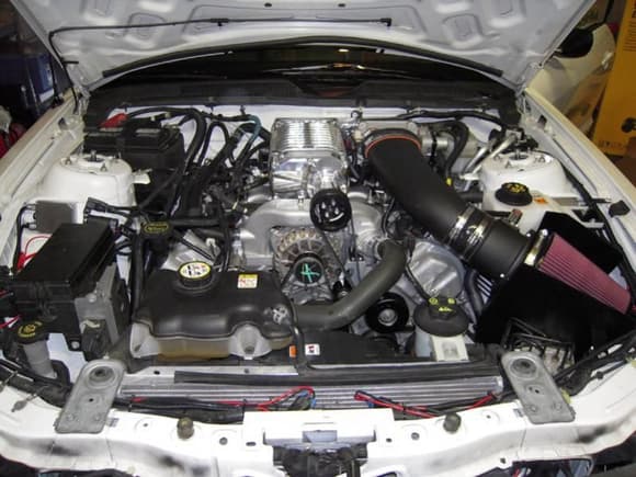 Whipple HO 550hp kit from Lethal Performance
