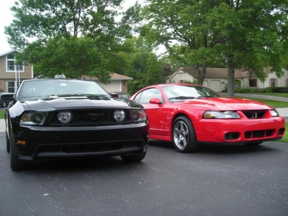 Mustangs!