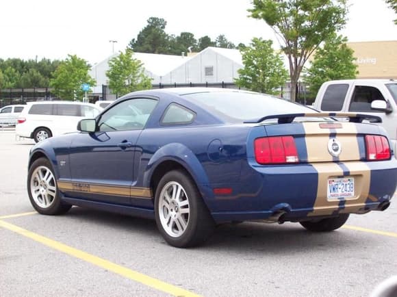 Mustang 011