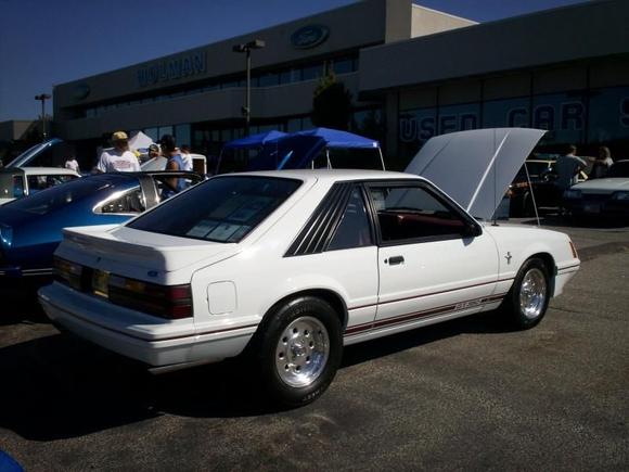 holman show sept 2008 002