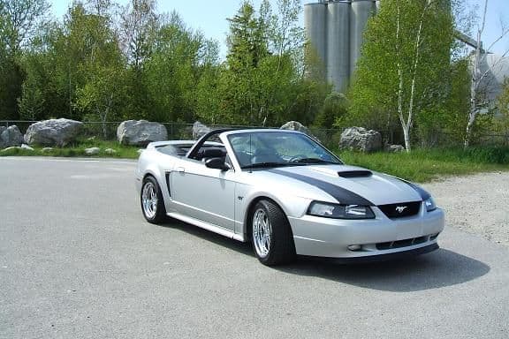Mustang 030