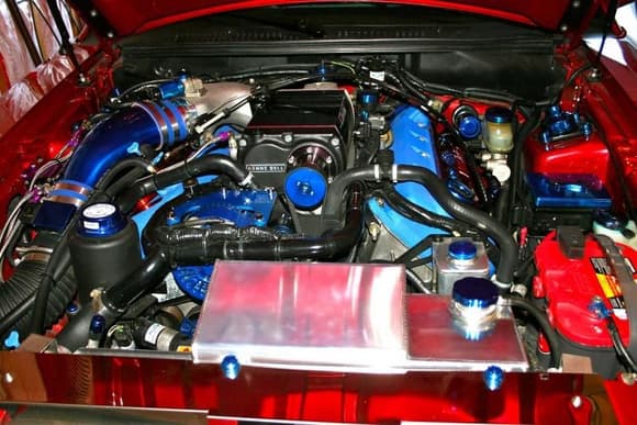 New pics. Cleaned up engine bay