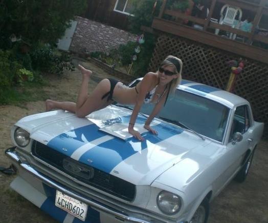 mustang10