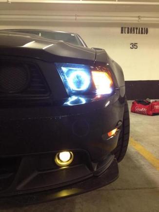 Raxiom Headlights with H11 6000k HID conversion, Eurolite H11 yellow halogen fog lights.