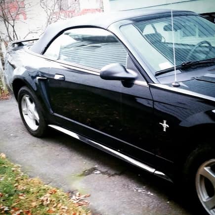 My 2003 Mustang