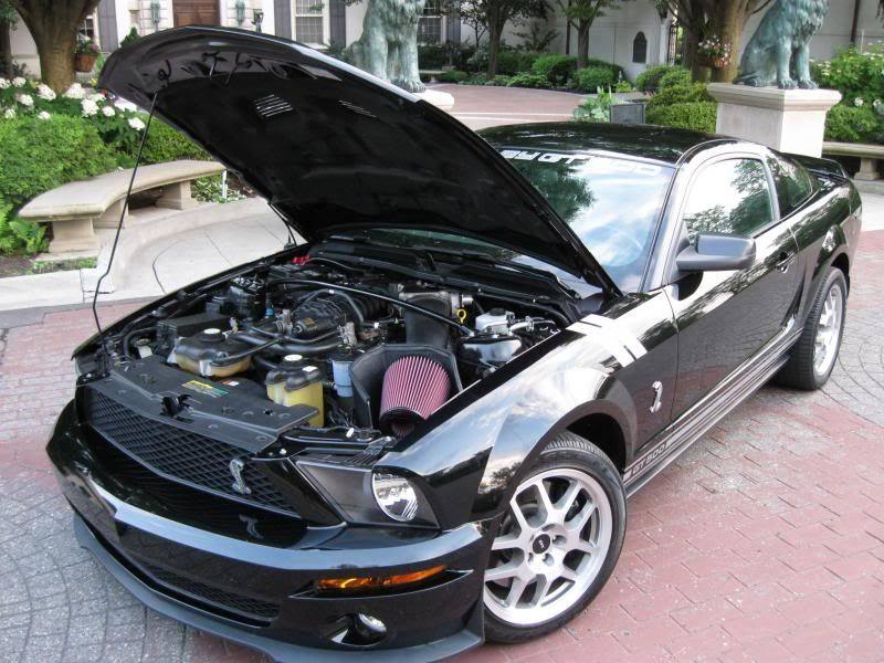 2007 Ford Mustang - TEST LISTING - 2007 Ford Shelby GT500 Cobra Mint 27,000 Miles All Black 650hp - Used - VIN 12345678901234567 - 27,000 Miles - 8 cyl - 2WD - Manual - Coupe - Black - Maldives