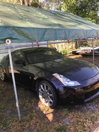 [Sales Listing] Can Kind of see UGLY AF R8 stripe (Matte Black Crappy Paint) on rear quarter panel and door