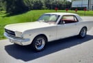 1965 Ford Mustang - Auction Ends 9/1