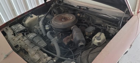 Diesel engine - ready for an engine swap?