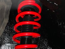 new coil overs and springs.