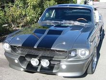 eleanor4