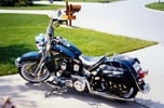 1 owner collector 1995 HD Softail Nostalgia   for sale $25,000 