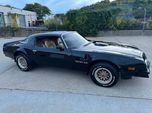 1976 Pontiac Firebird  for sale $61,995 