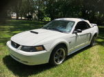 2003 Ford Mustang  for sale $19,995 