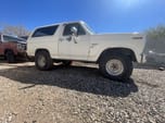 1985 Ford Bronco  for sale $8,195 