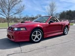 2004 Ford Mustang  for sale $29,995 