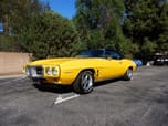1969 Pontiac Firebird  for sale $45,900 