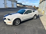 2007 Ford Mustang  for sale $41,499 