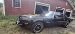 1975 Pontiac Firebird  for sale $35,995 