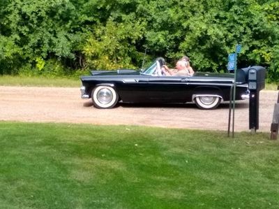 1955 Ford Thunderbird  for sale $35,995 