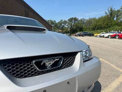 2004 Ford Mustang  for sale $21,998 