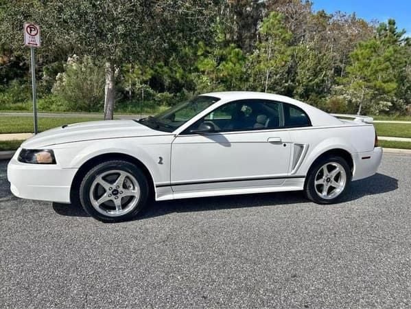 2001 Ford Mustang  for Sale $18,900 
